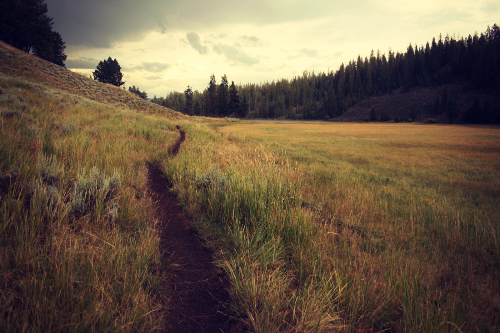 Hike the Appalachian Trail