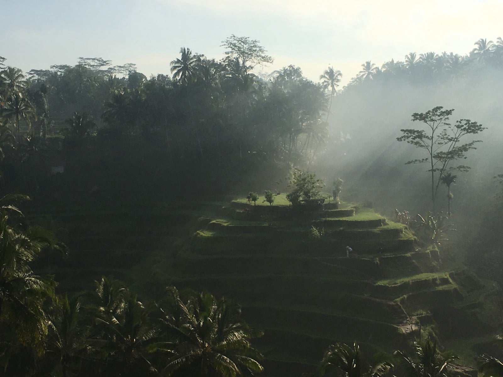 Bali, Indonesia - digital nomads