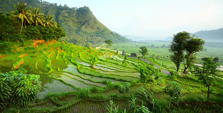 travel