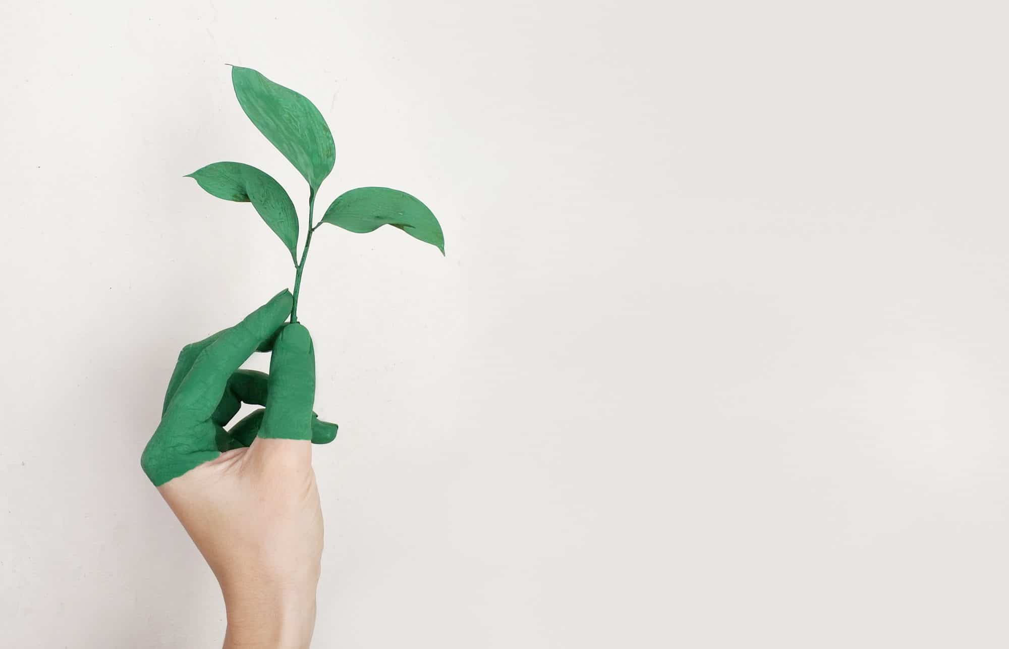 The Art of Green Travel